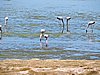 DSCN8673.JPG