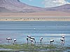 DSCN8677.JPG