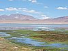 DSCN8681.JPG