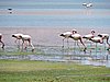 DSCN8683.JPG
