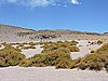 DSCN8684.JPG