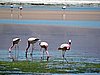 DSCN8687.JPG