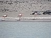 DSCN8695.JPG