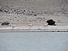 DSCN8696.JPG