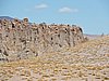 DSCN8701.JPG