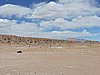 DSCN8704.JPG
