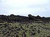 DSCN8850.JPG