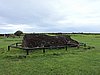 DSCN8877.JPG