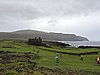 DSCN8897.JPG