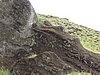 DSCN8920.JPG