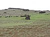 DSCN8951.JPG