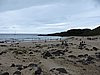 DSCN8952.JPG