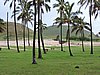 DSCN8961.JPG
