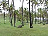 DSCN8962.JPG