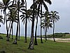 DSCN8963.JPG