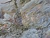 DSCN8974.JPG