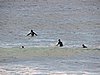 DSCN9014.JPG