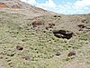 DSCN9023.JPG