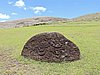 DSCN9025.JPG