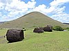 DSCN9026.JPG