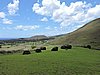 DSCN9027.JPG