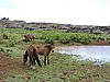 DSCN9049.JPG