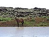 DSCN9050.JPG