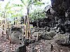 DSCN9052.JPG
