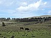 DSCN9060.JPG