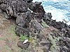 DSCN9063.JPG