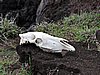 DSCN9065.JPG