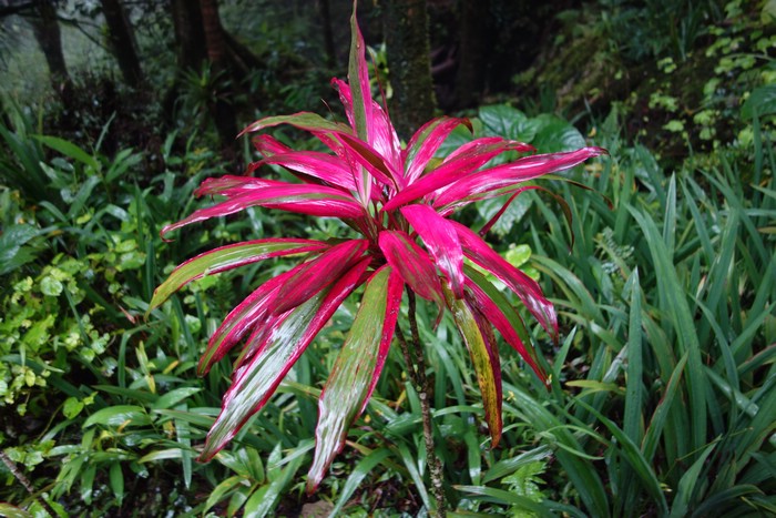 DSC08021.JPG