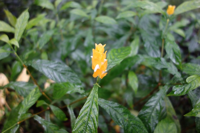 DSC08027.JPG