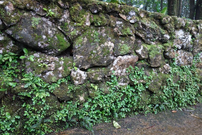 DSC08032.JPG