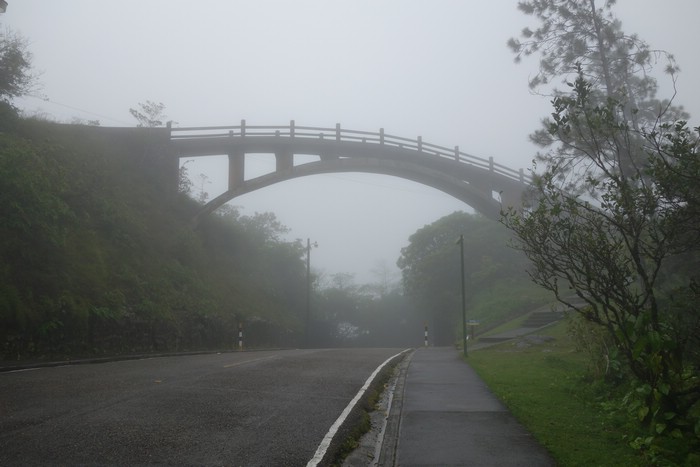 DSC08037.JPG