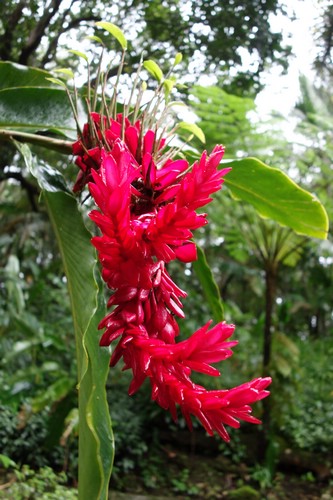 DSC08043.JPG