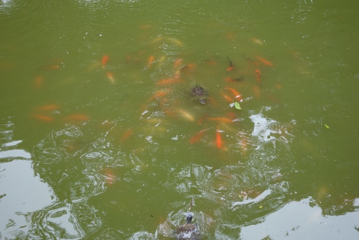 DSC08048.JPG