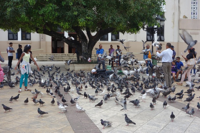 DSC08078.JPG