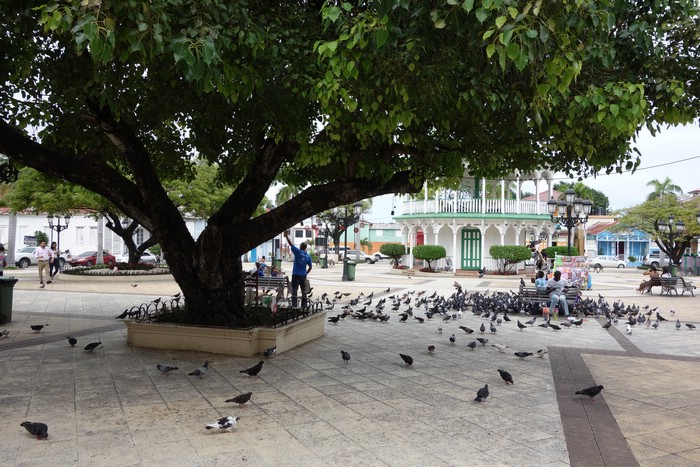 DSC08081.JPG