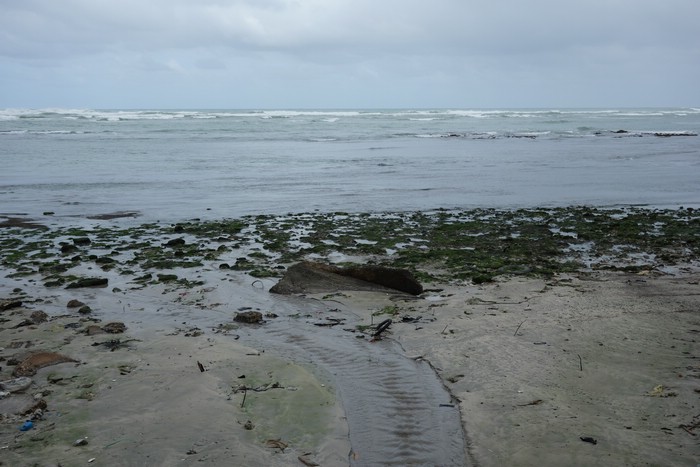 DSC08092.JPG