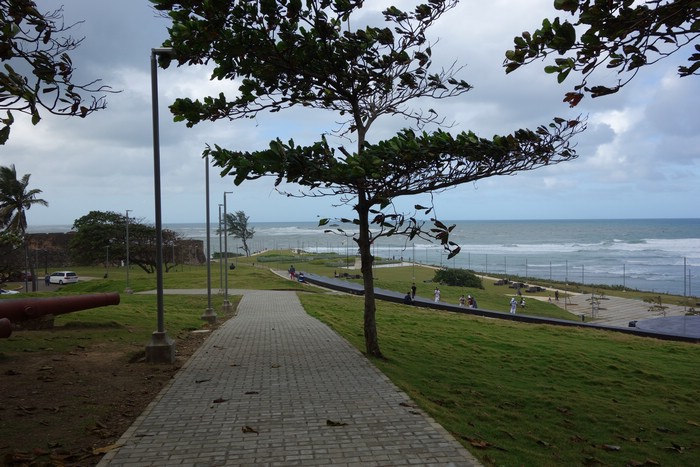 DSC08110.JPG