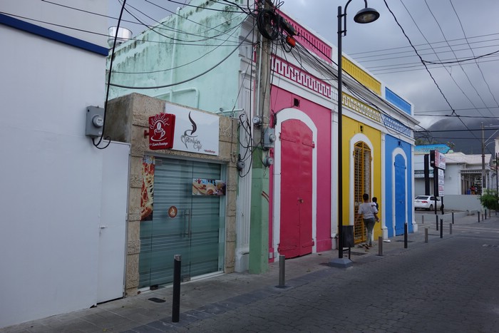 DSC08112.JPG