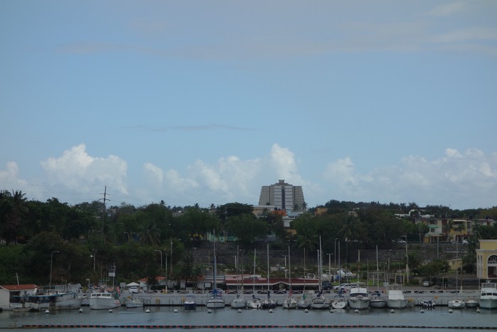 DSC08126.JPG