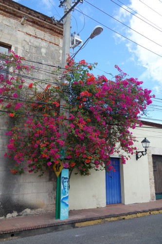 DSC08256.JPG