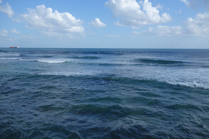DSC08317.JPG