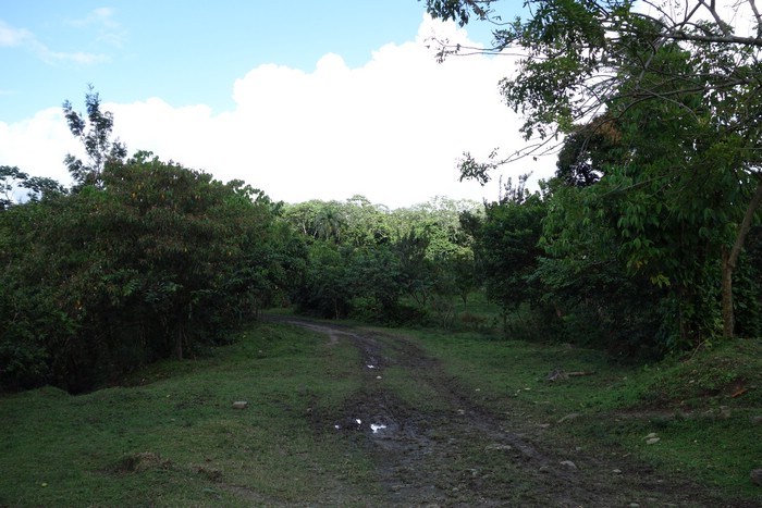 DSC08371.JPG