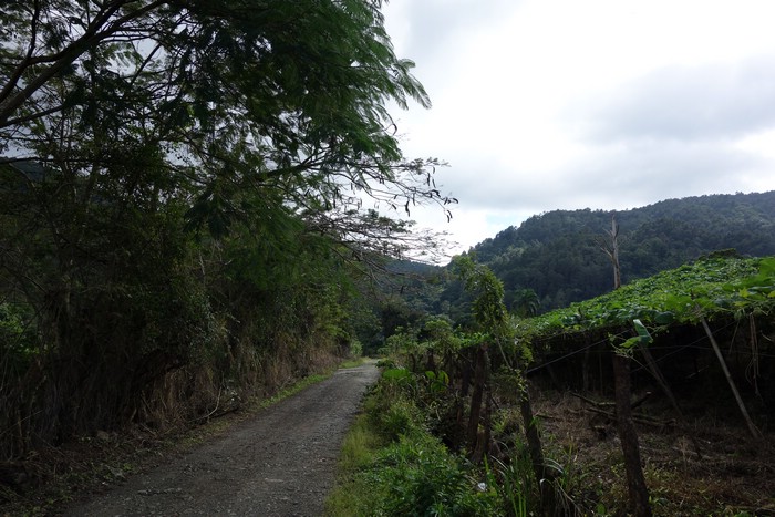 DSC08376.JPG