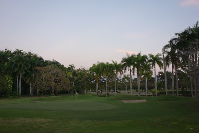 DSC08404.JPG