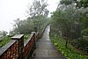 DSC08017.JPG