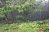 DSC08018.JPG